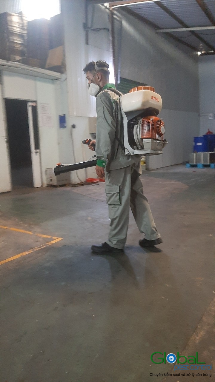 Phun diệt côn trùng định kỳ