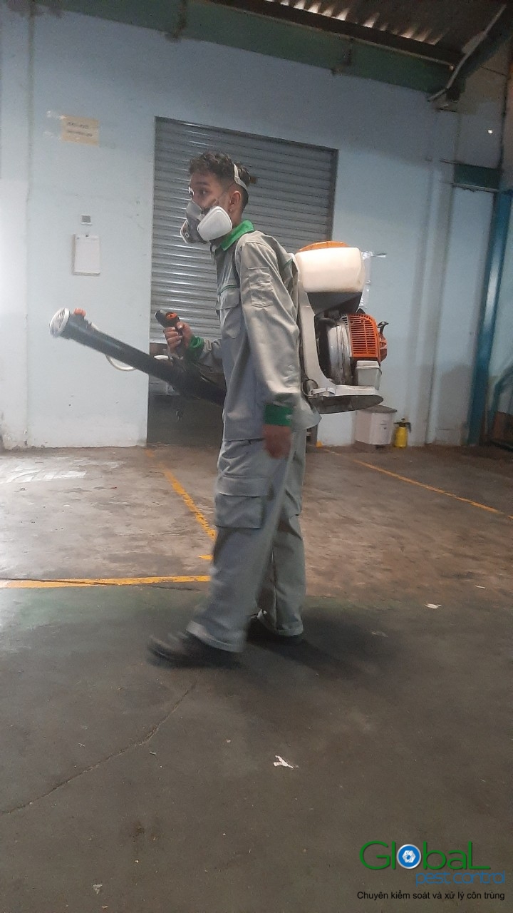 Phun diệt côn trùng định kỳ