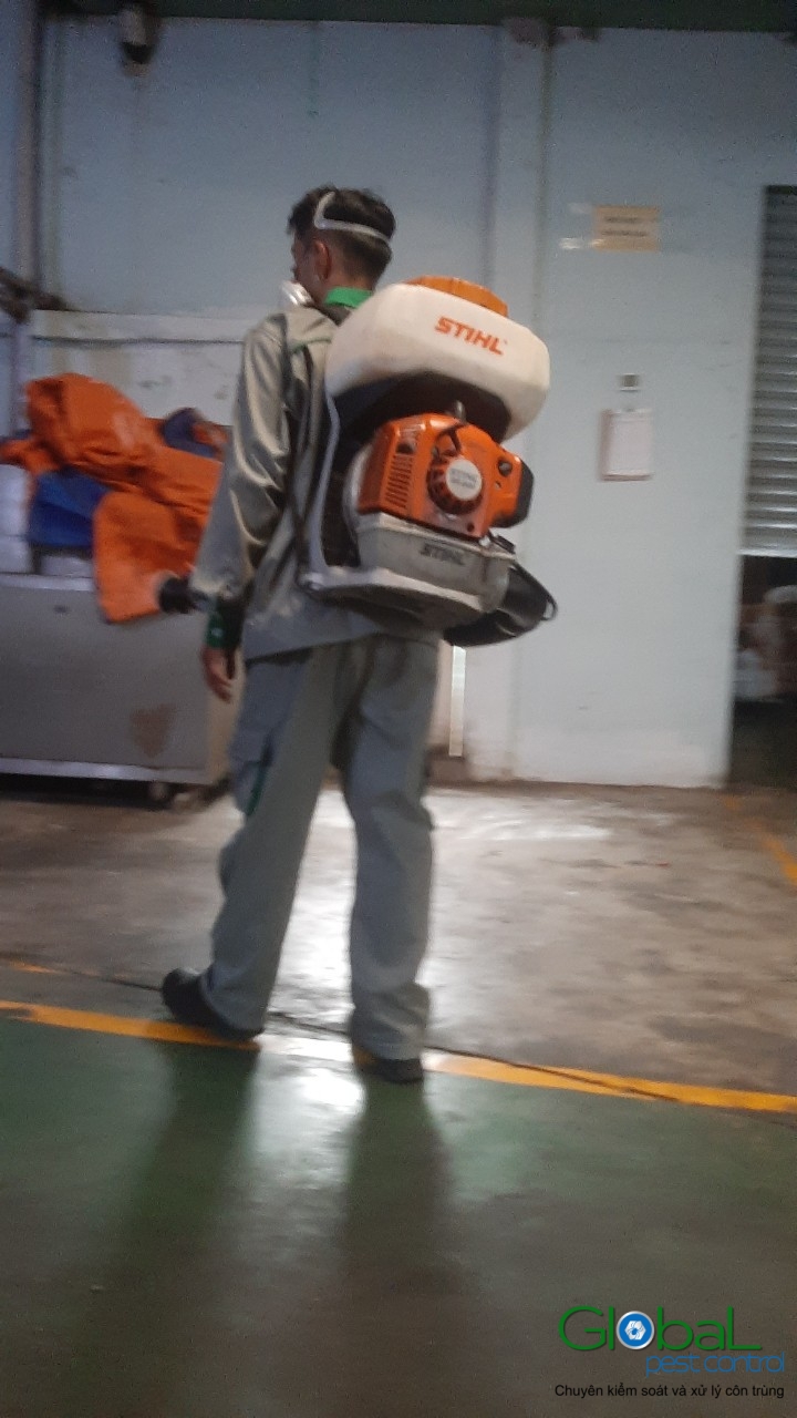 Phun diệt côn trùng định kỳ