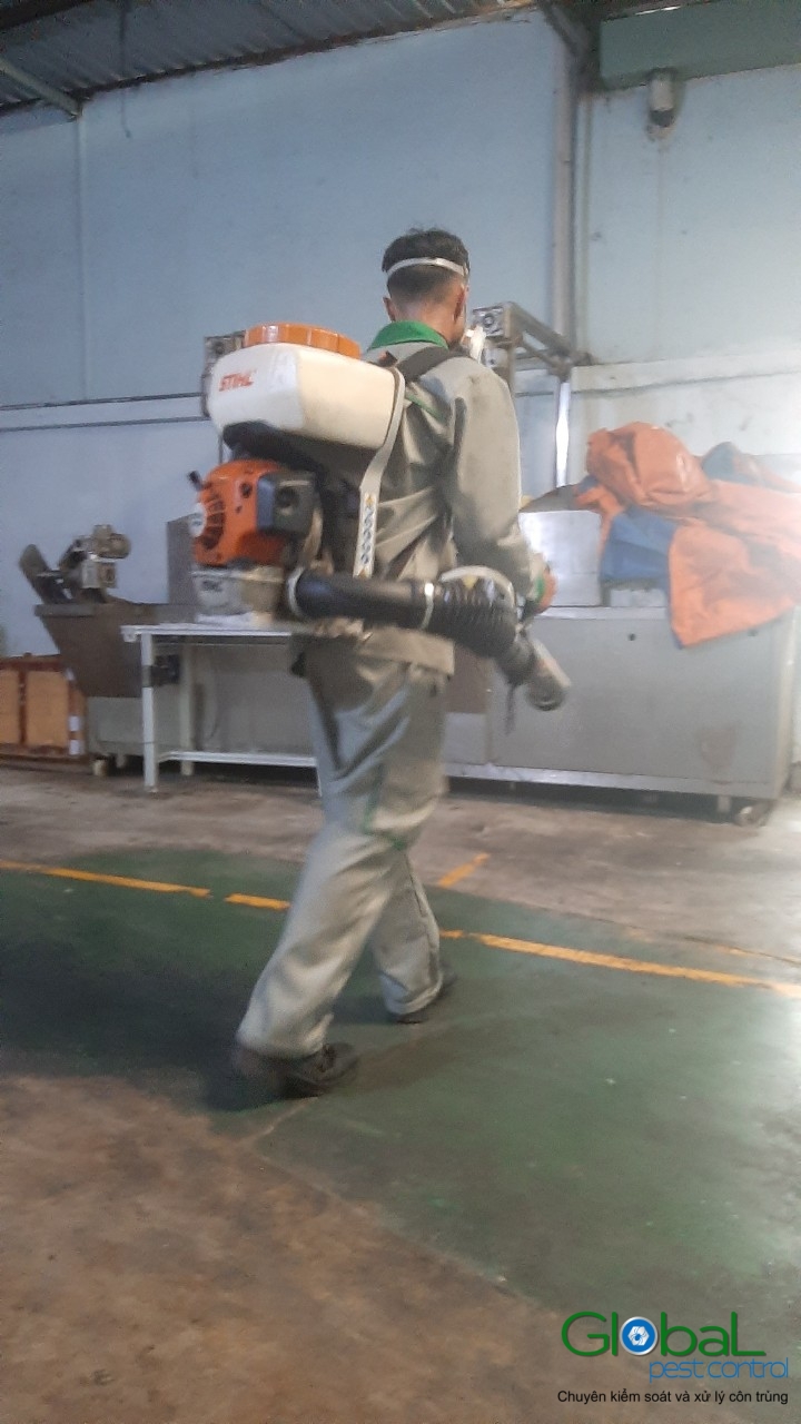 Phun diệt côn trùng định kỳ