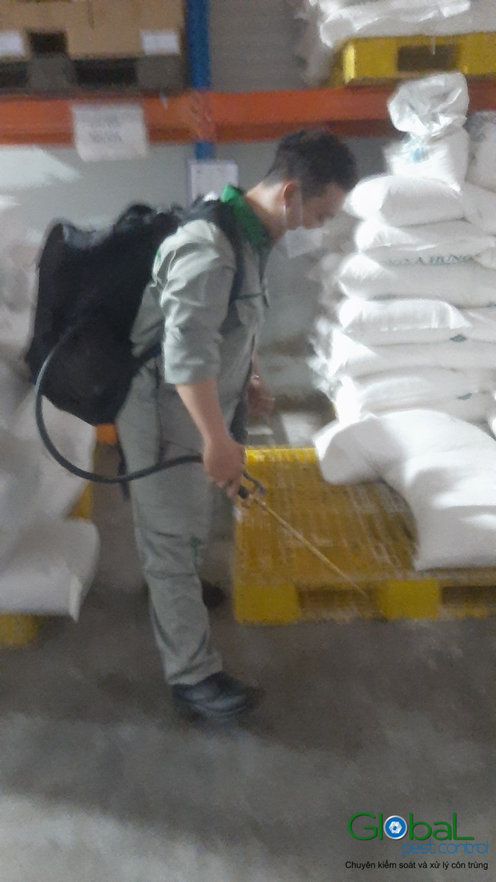 Phun diệt côn trùng định kỳ