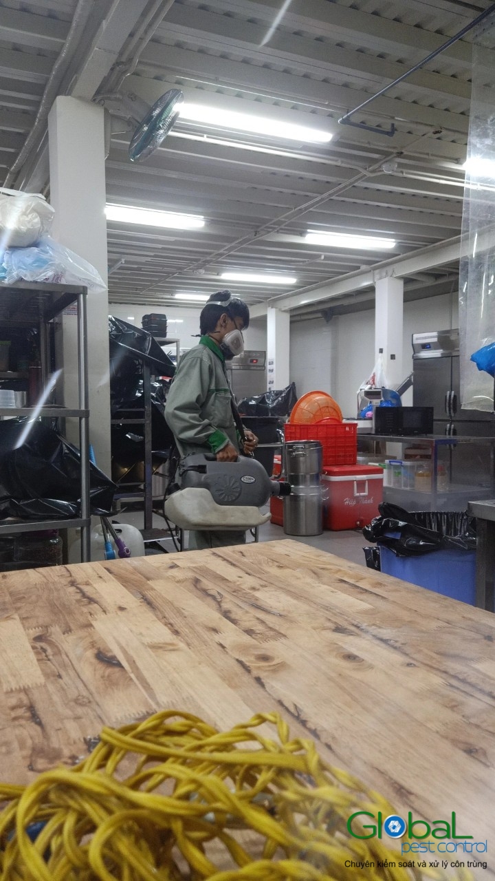 Phun diệt côn trùng định kỳ