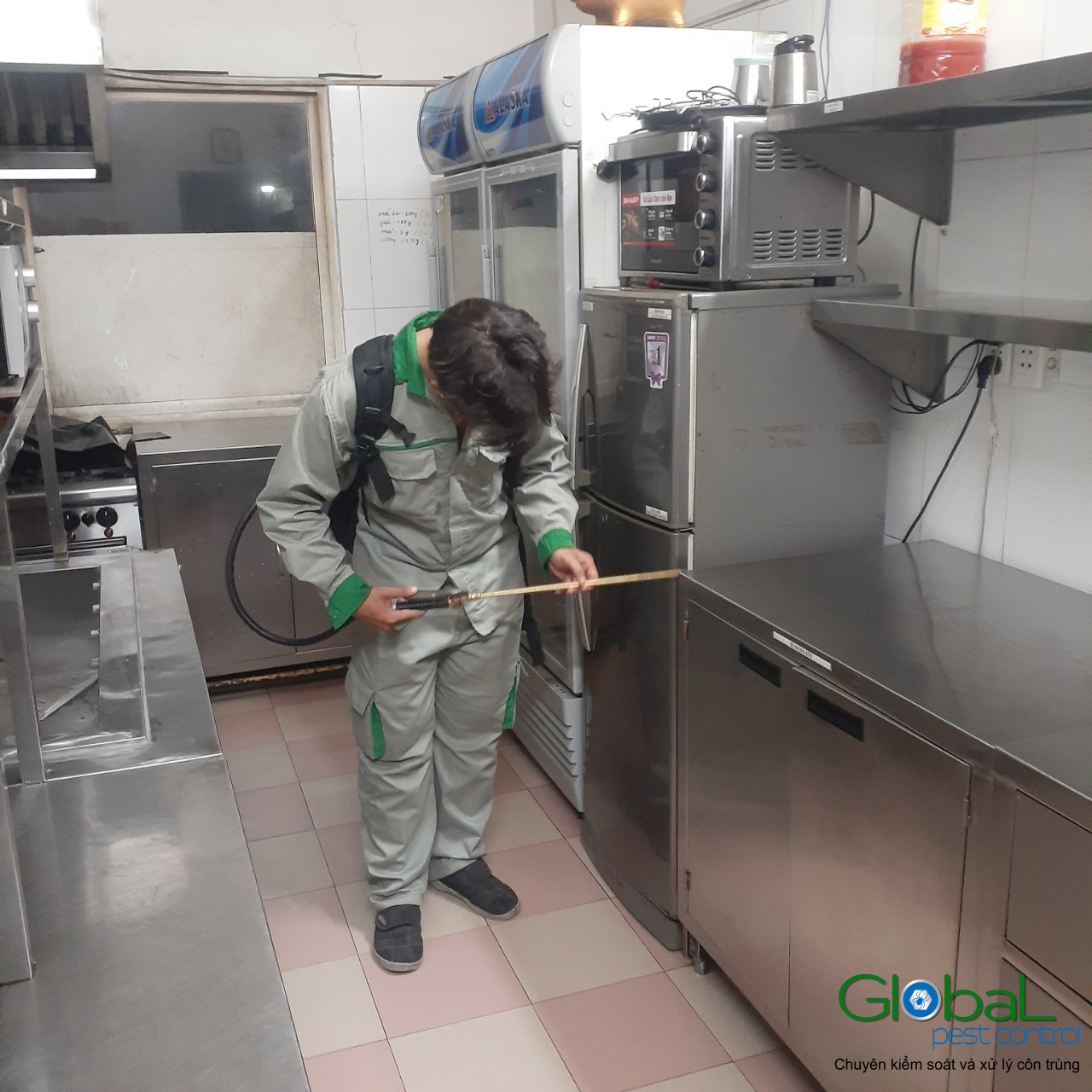 Phun diệt côn trùng định kỳ