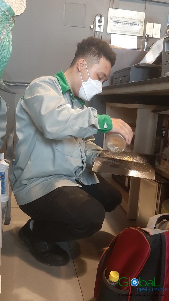 Phun diệt côn trùng định kỳ