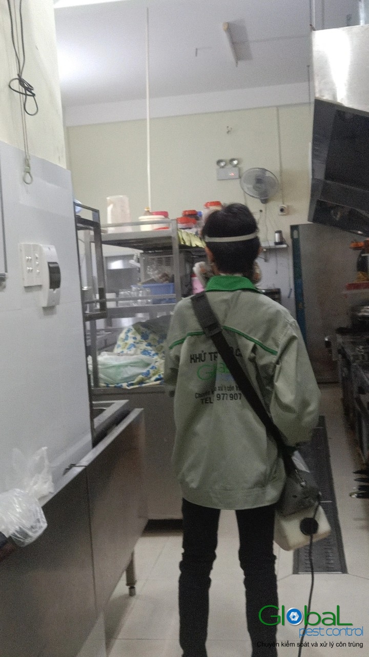 Phun diệt côn trùng định kỳ