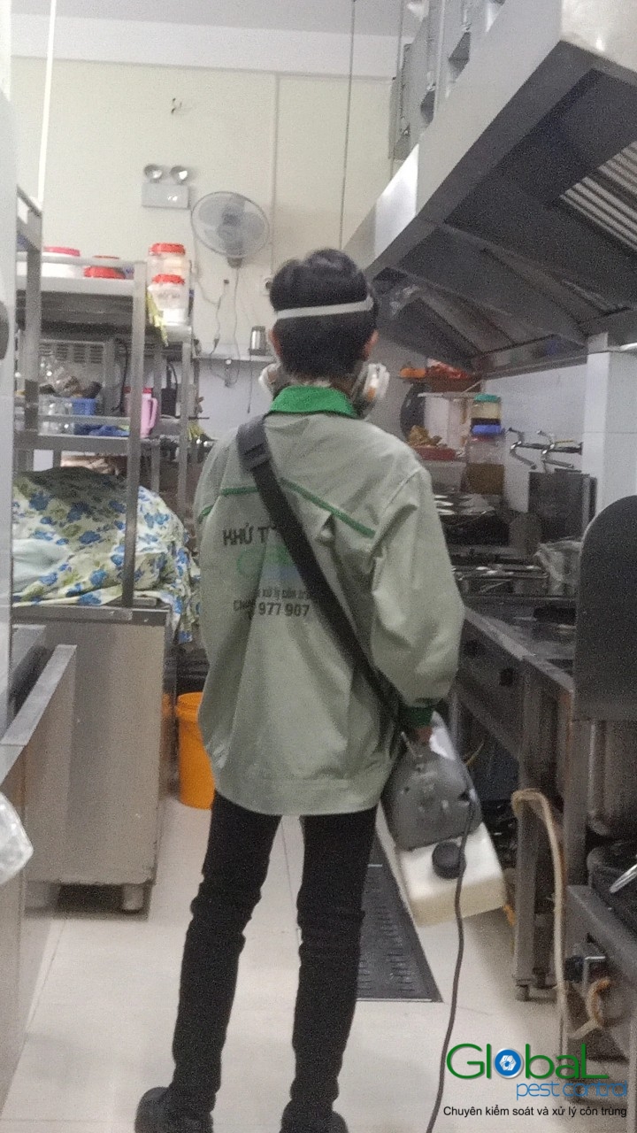 Phun diệt côn trùng định kỳ