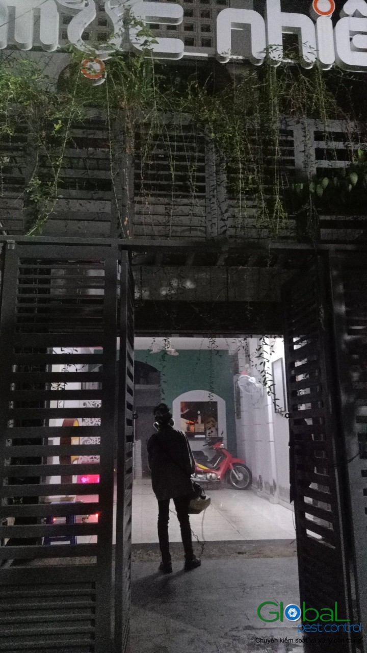 Phun diệt côn trùng định kỳ