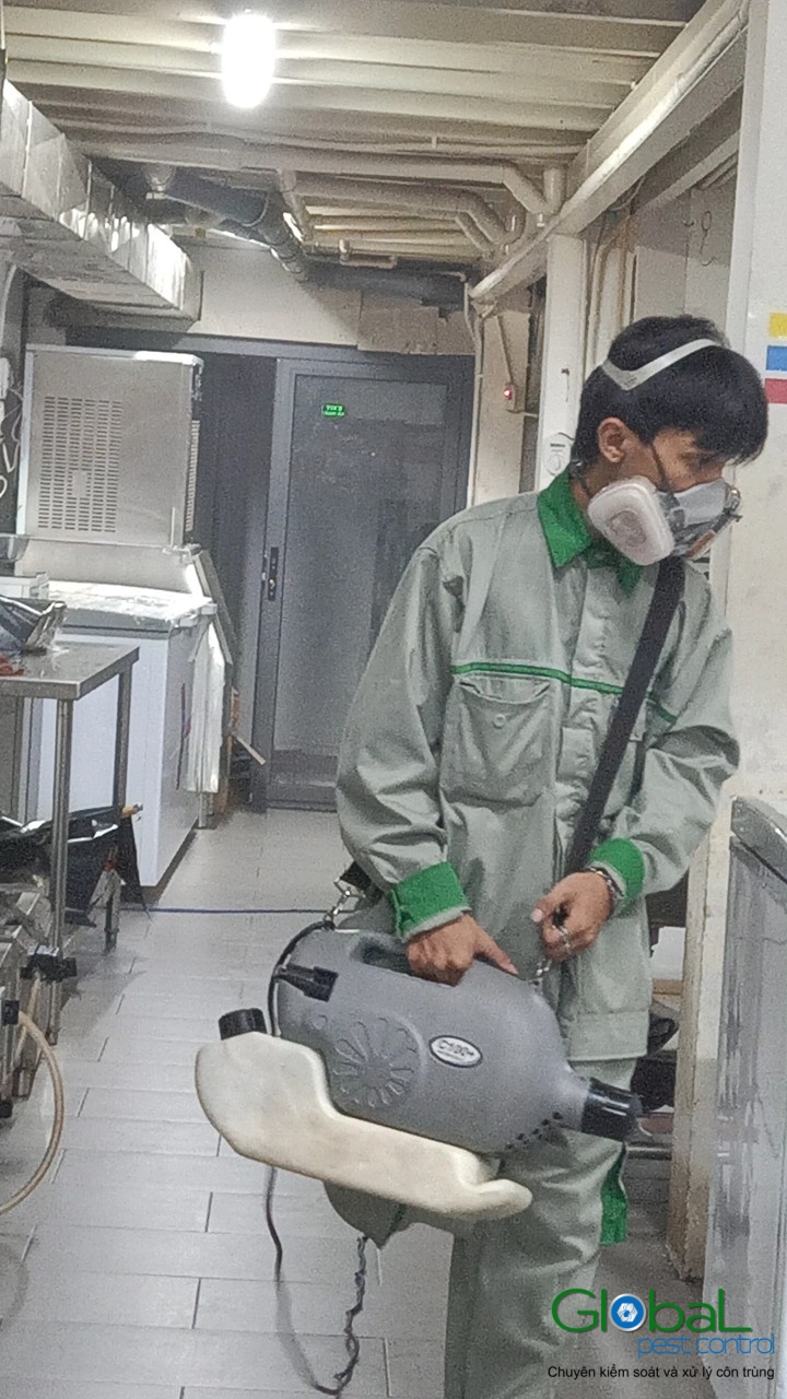 Phun diệt côn trùng định kỳ