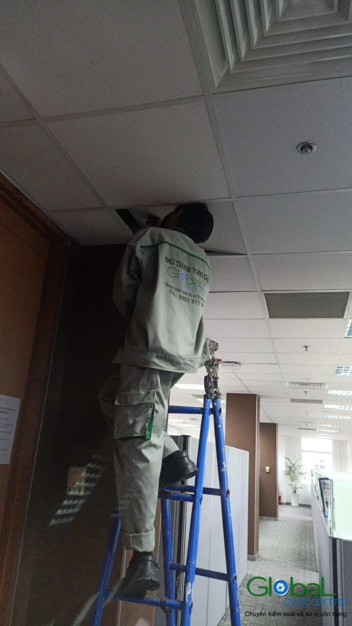 Phun diệt côn trùng định kỳ