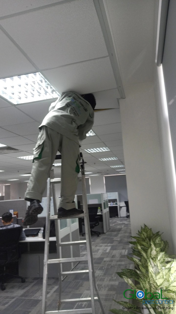 Phun diệt côn trùng định kỳ