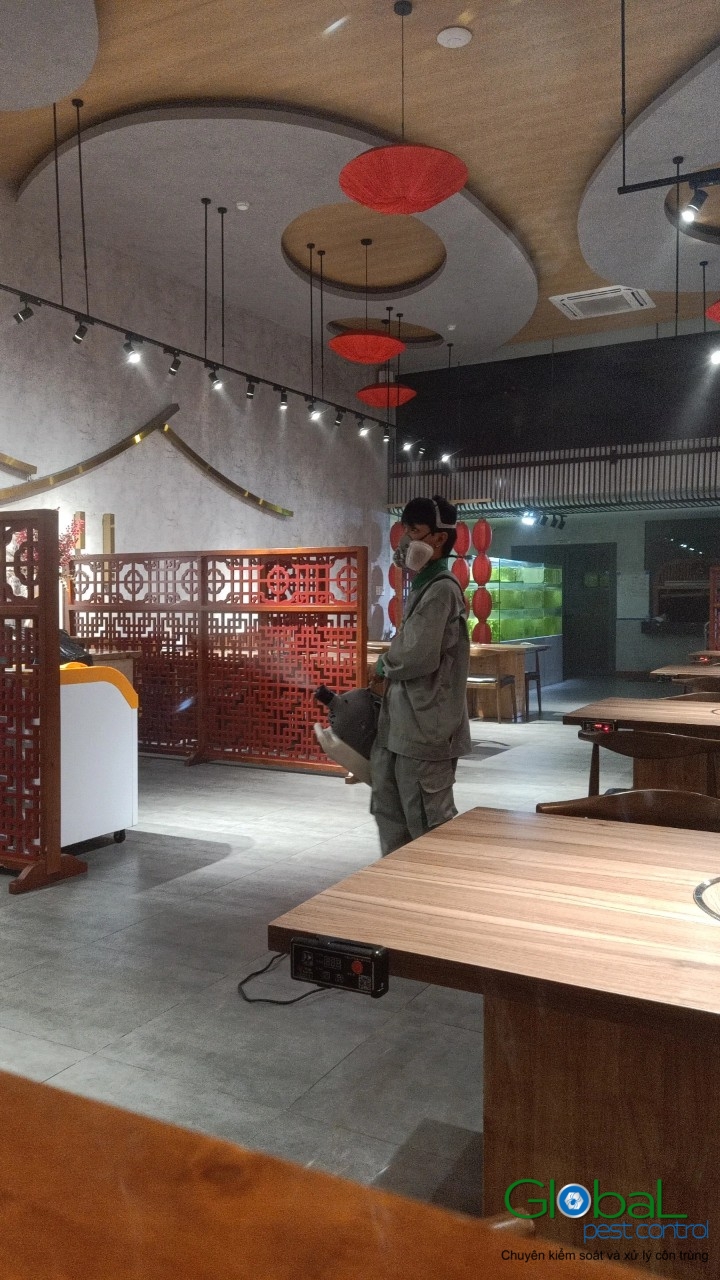 Phun diệt côn trùng định kỳ