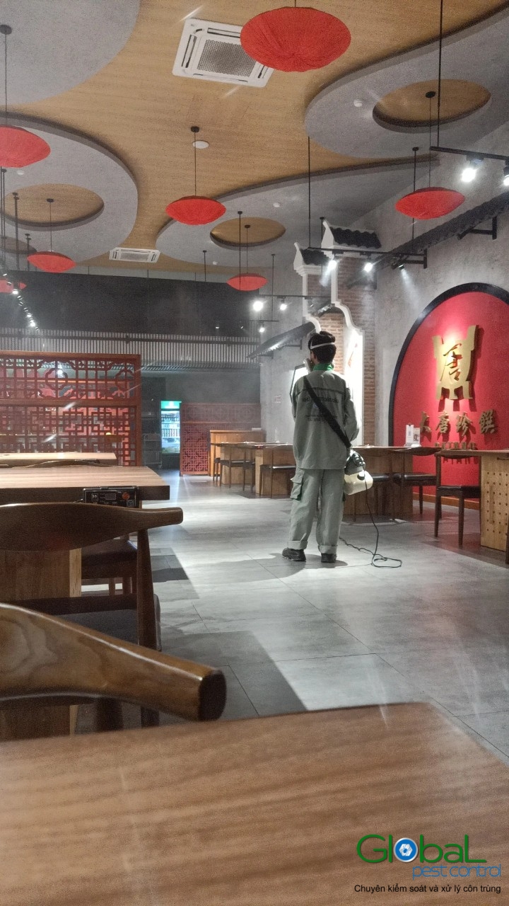 Phun diệt côn trùng định kỳ