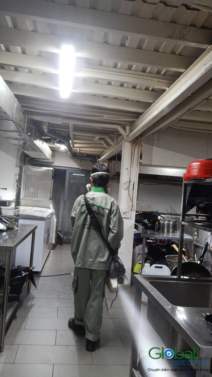 Phun diệt côn trùng định kỳ