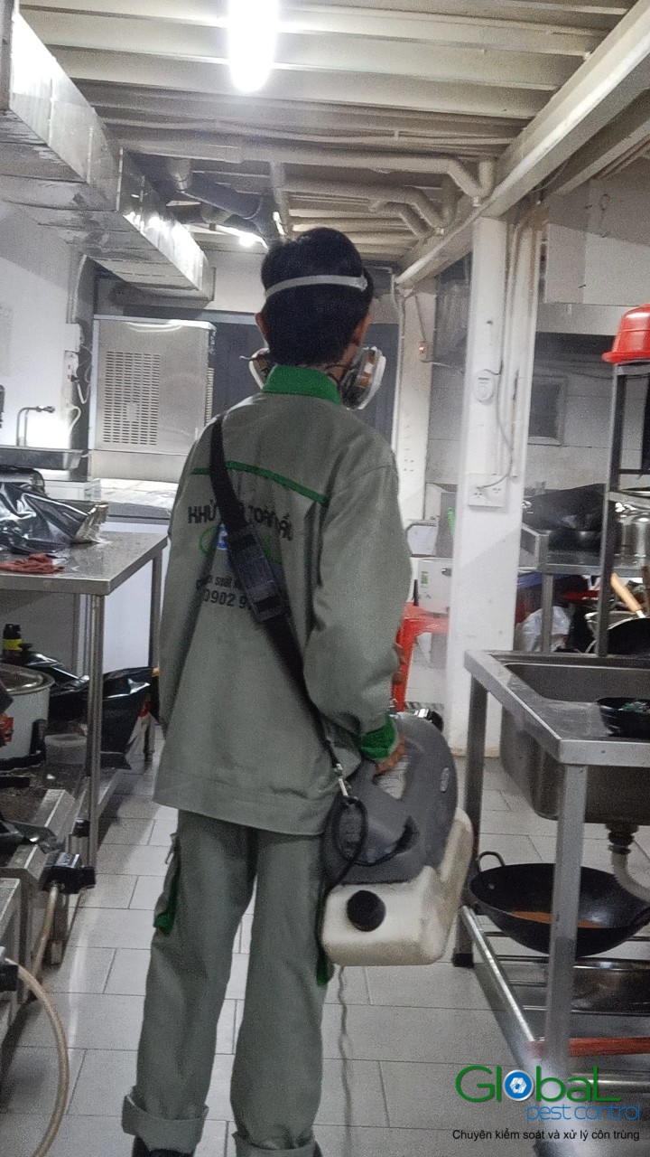 Phun diệt côn trùng định kỳ