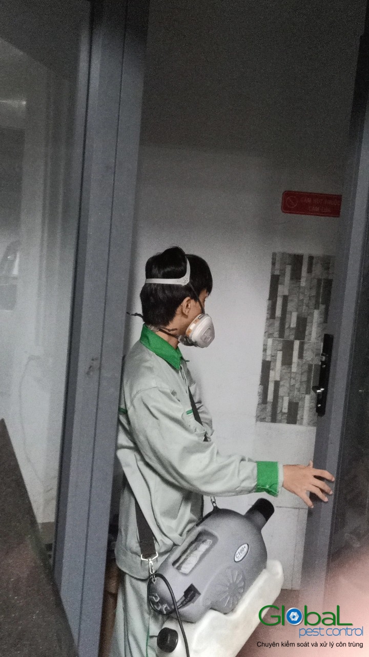 Phun diệt côn trùng định kỳ