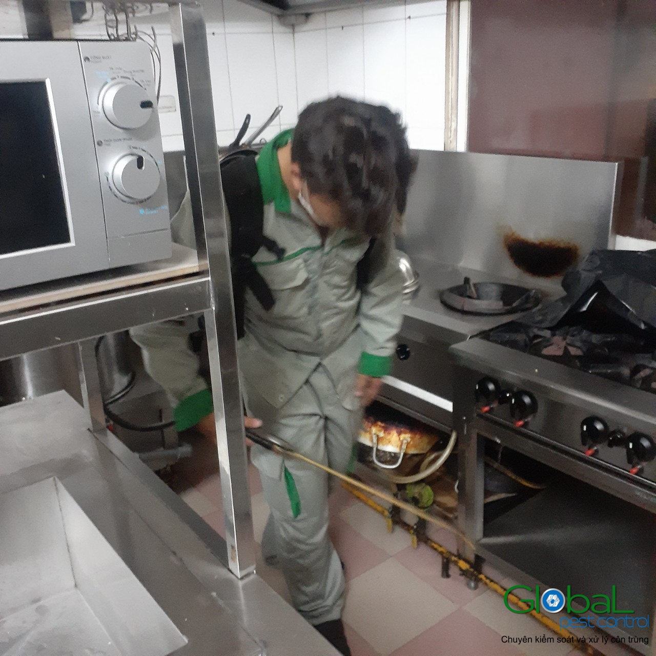 Phun diệt côn trùng định kỳ