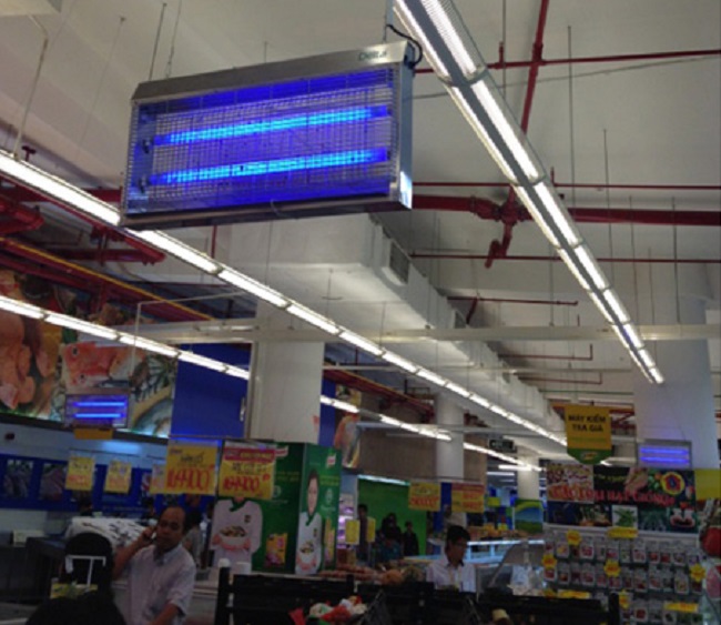 den diet con trung navylight np 2x20w ss t2