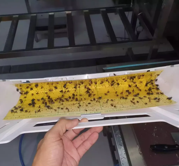 screenshot 1681482817