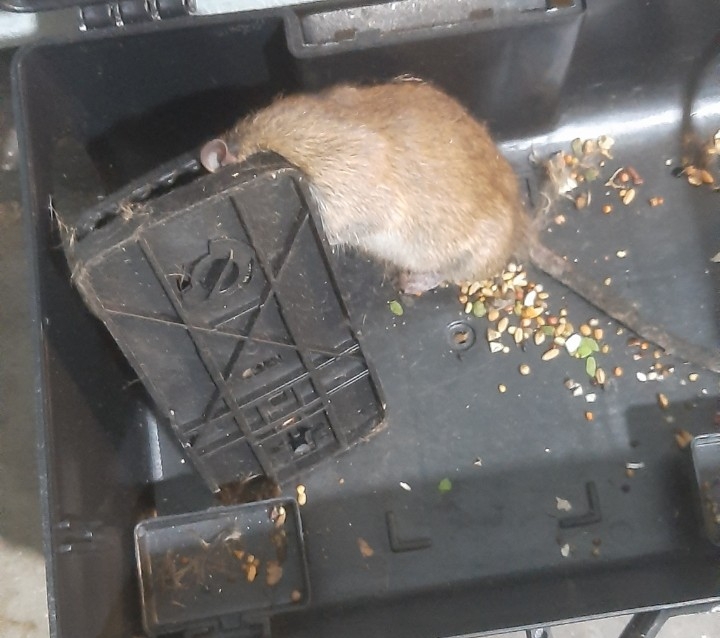 z4196379691187 c7a20d69539030617ddd04dad33954fe