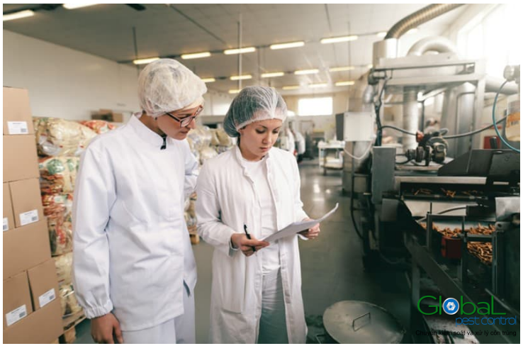 chuột trong nhà máy