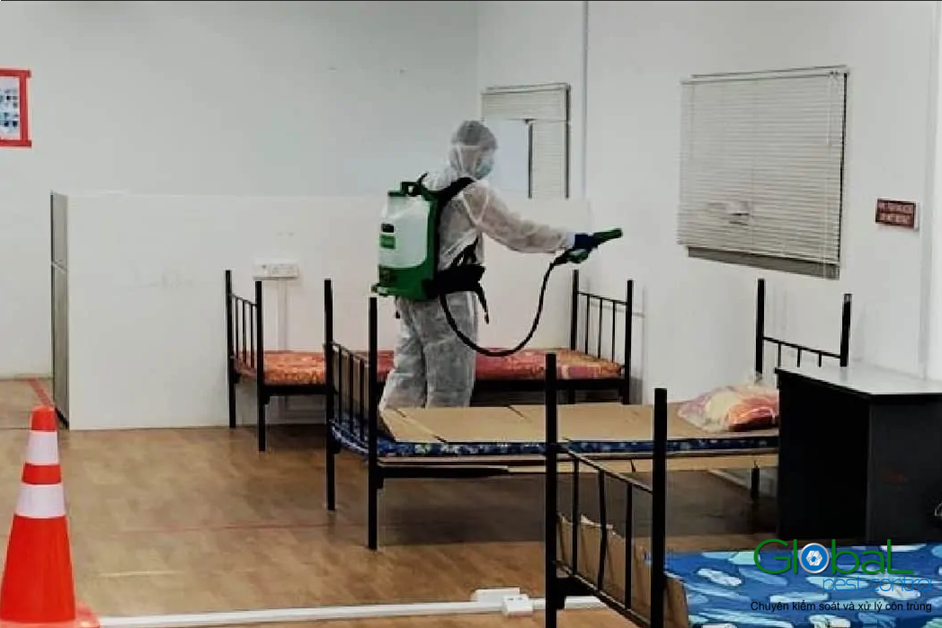 Dịch vụ pest control Khử trùng Toàn Cầu (18)