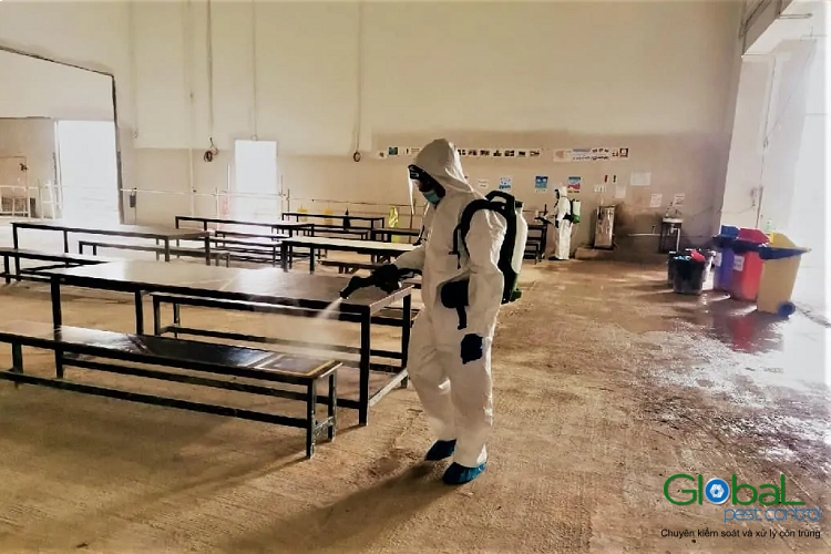 Dịch vụ pest control Khử trùng Toàn Cầu (24)
