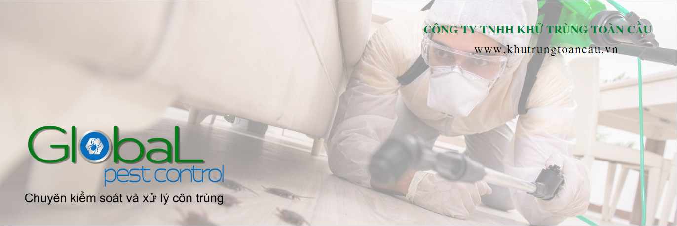 Pest Control - Dịch vụ xử lý côn trùng chuyên nghiệp