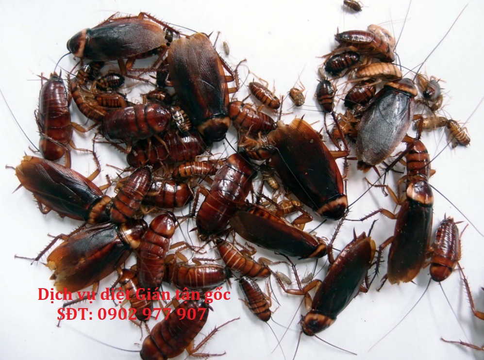 VtVdgFfTHXKeJJJsUFKdPe