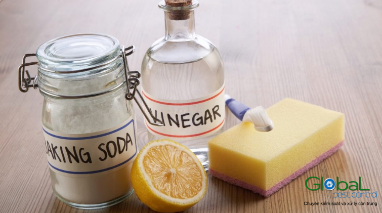 Baking Soda và Giấm có diệt kiến ​​không