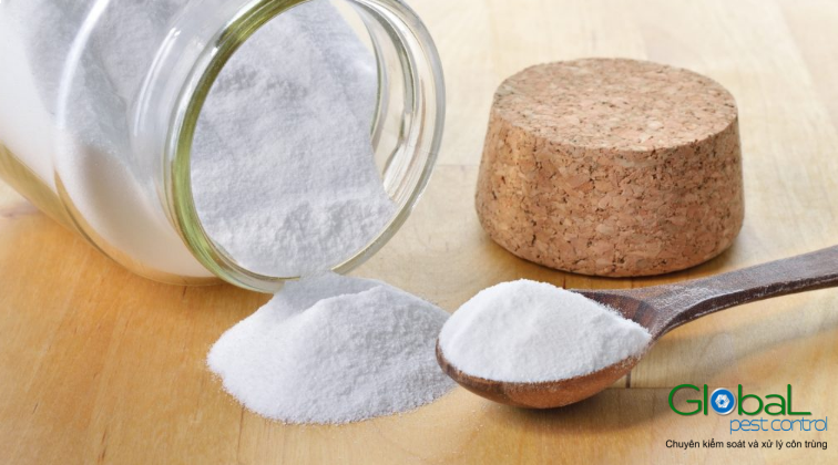 Cách xử lý Kiến bằng Baking Soda Hướng dẫn từng bước