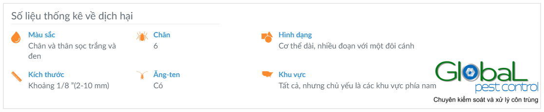 Muỗi hỗ Châu Á