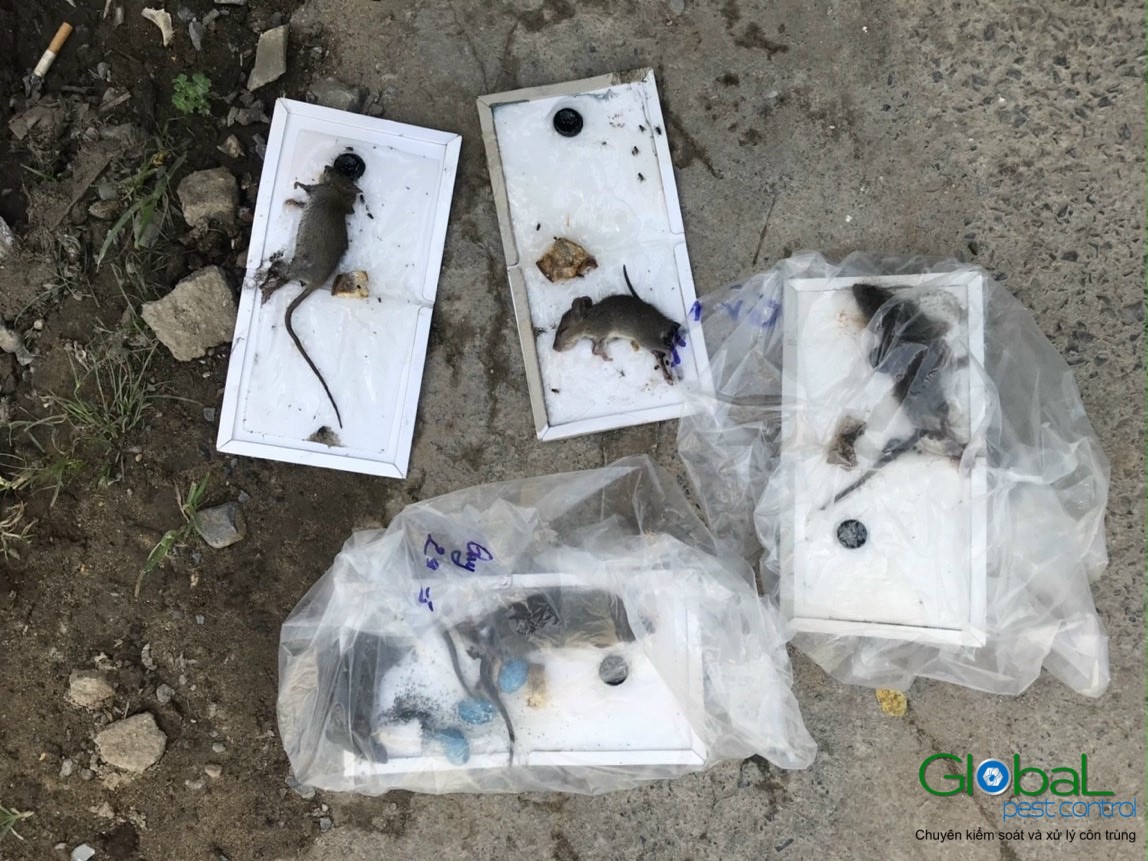 z3095618365029 a3ae75c7f82f43b971b0e2df854b6dca