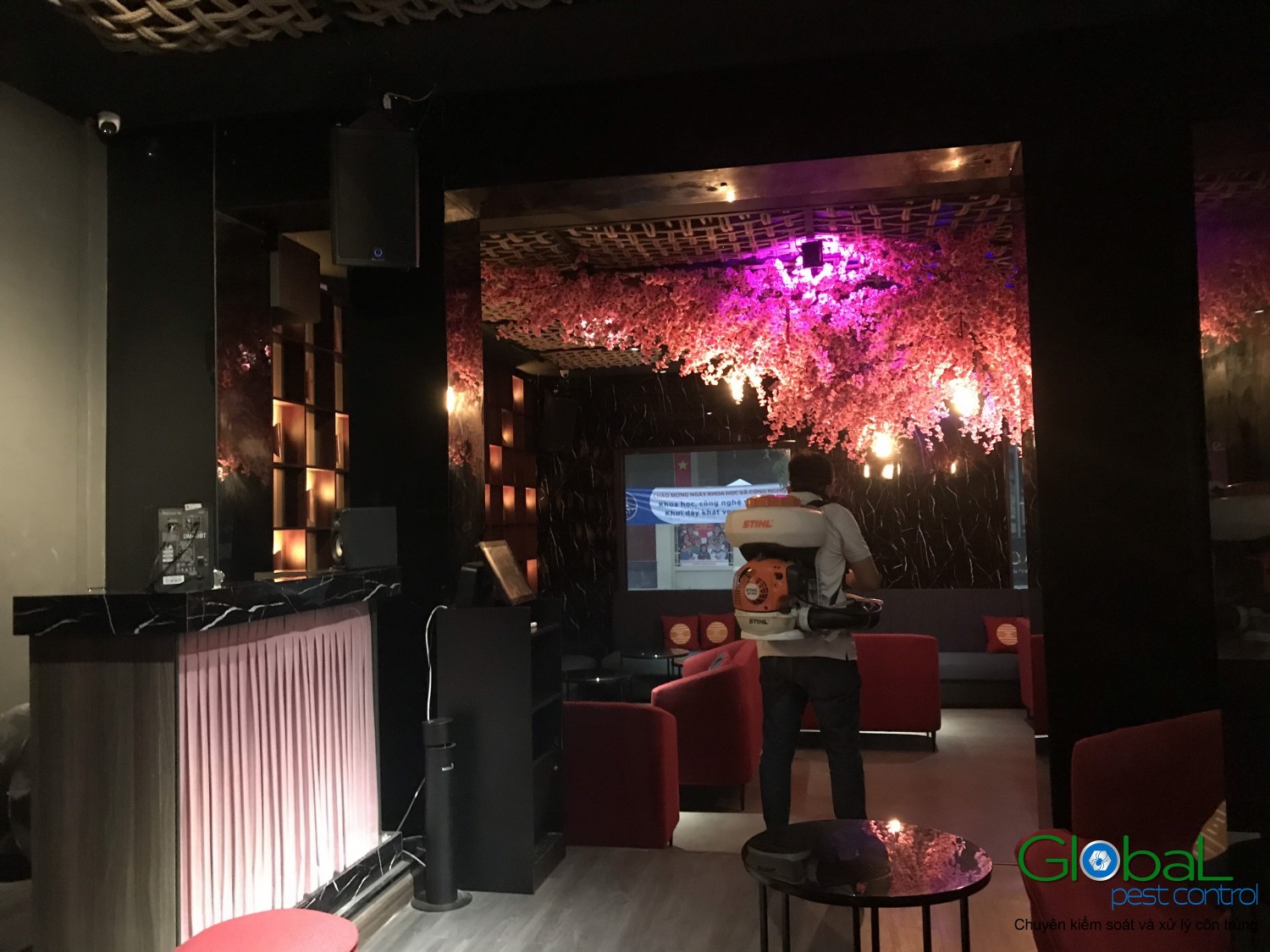 Dịch vụ diệt Muỗi dành cho căn hộ, chung cư trong những mùa mưa