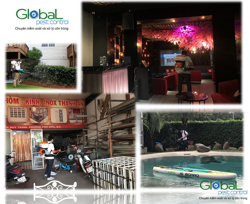 Dịch vụ diệt Muỗi dành cho căn hộ, chung cư trong những mùa mưa