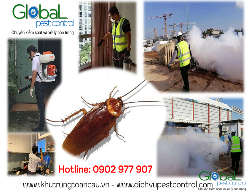 dich vu kiem soat xu ly diet gian pest control