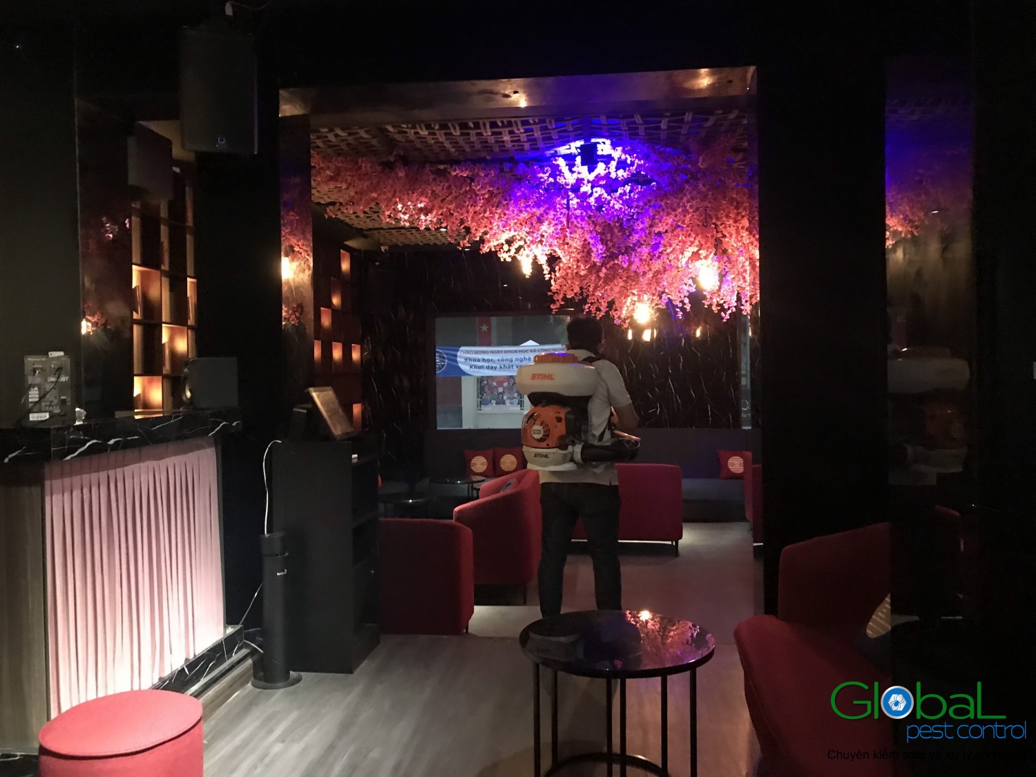 z2547144328575 226e466797bd913330d719f82a602a9a