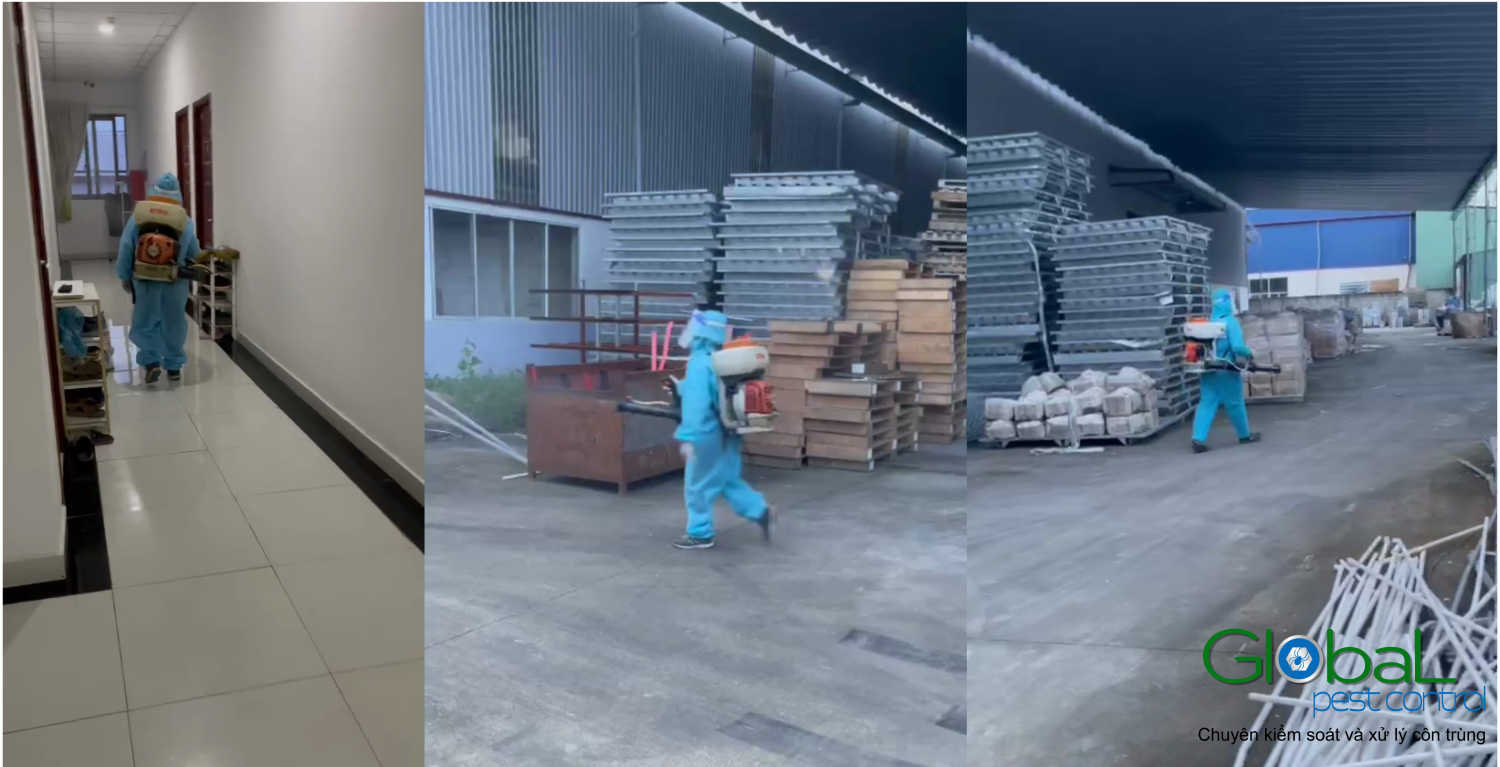 Dịch vụ phun thuốc khử trùng, khử khuẩn tại Hồ Chí Minh