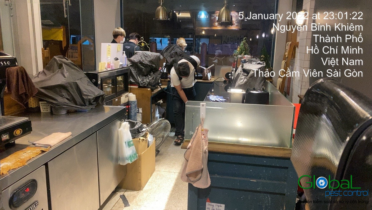 Dịch vụ xử lý và diệt Kiến hiệu quả 1