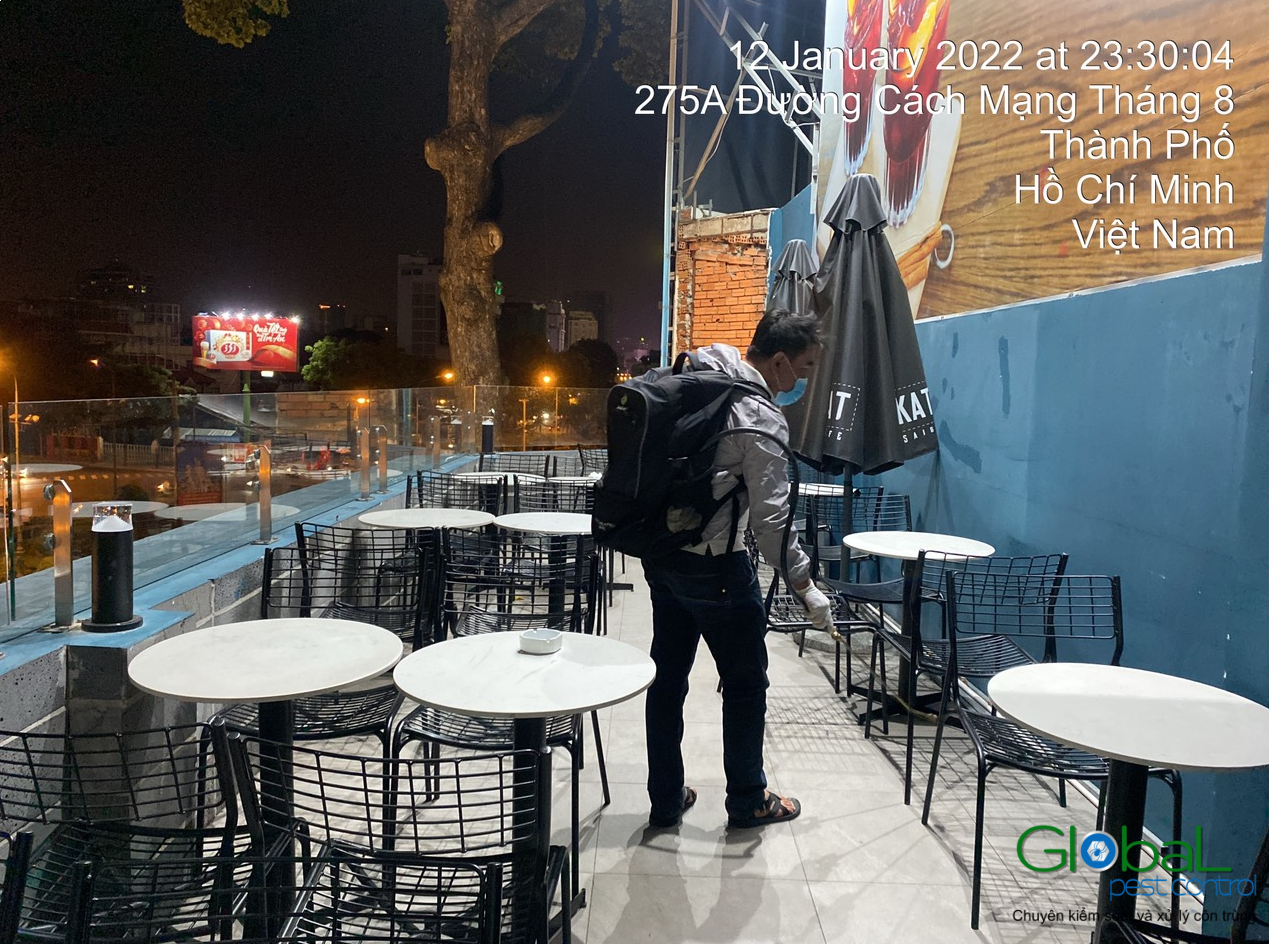 Dịch vụ xử lý và diệt Kiến hiệu quả 2