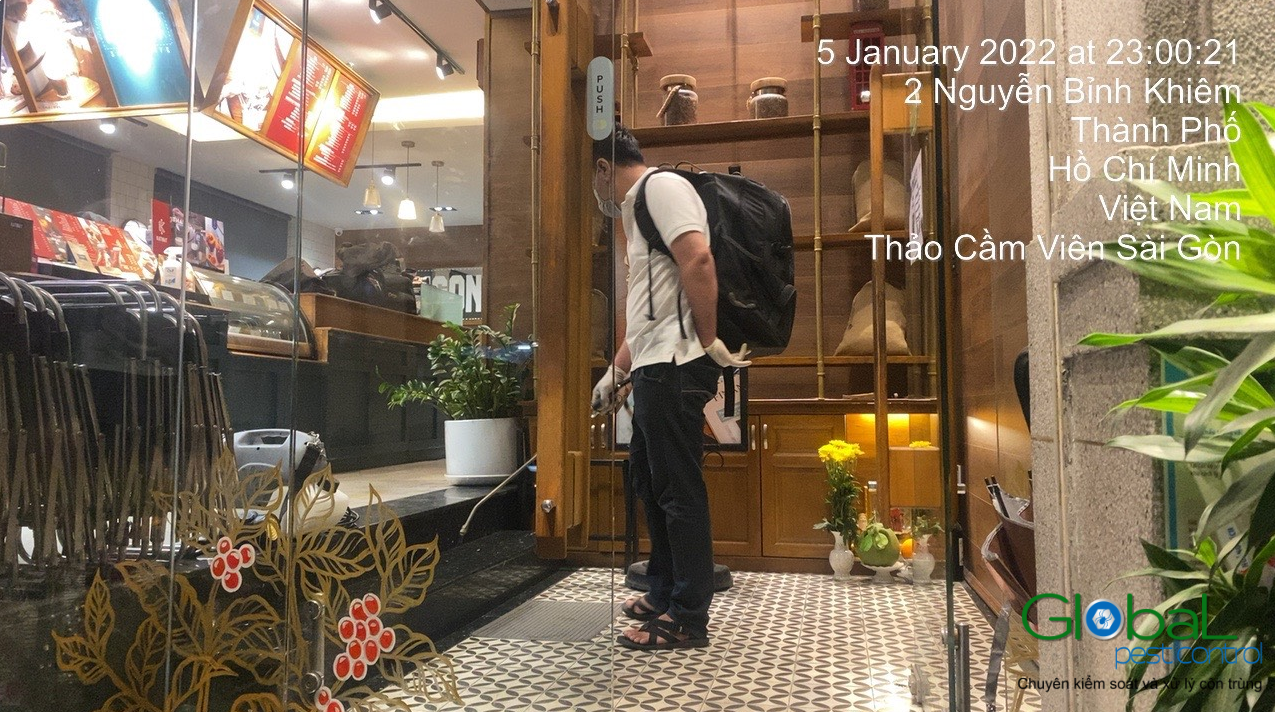 Dịch vụ xử lý và diệt Kiến hiệu quả