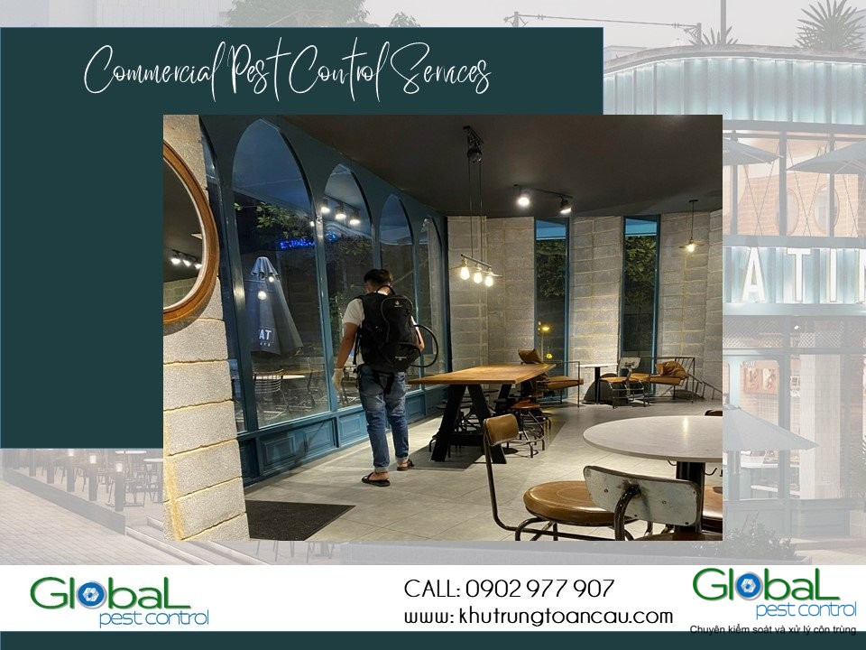 297754763 483836370249493 5832226959397292082 n