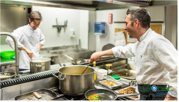 diệt gián trong bếp của nhà hàng