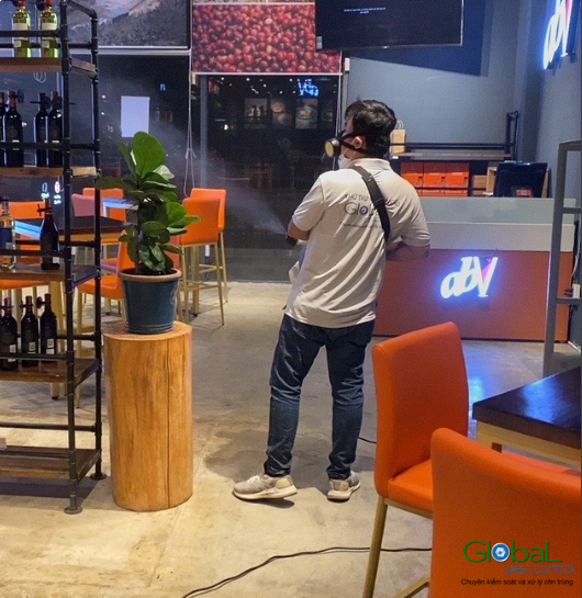 Dịch vụ diệt gián