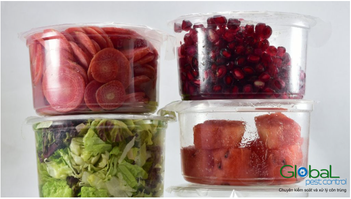 Mẹo hướng dẫn ngăn chặn Kiến xuất hiện trong nhà bếp