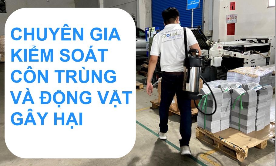 báo cáo chương trình kiểm soát và xử lý côn trùng cuối năm 2022