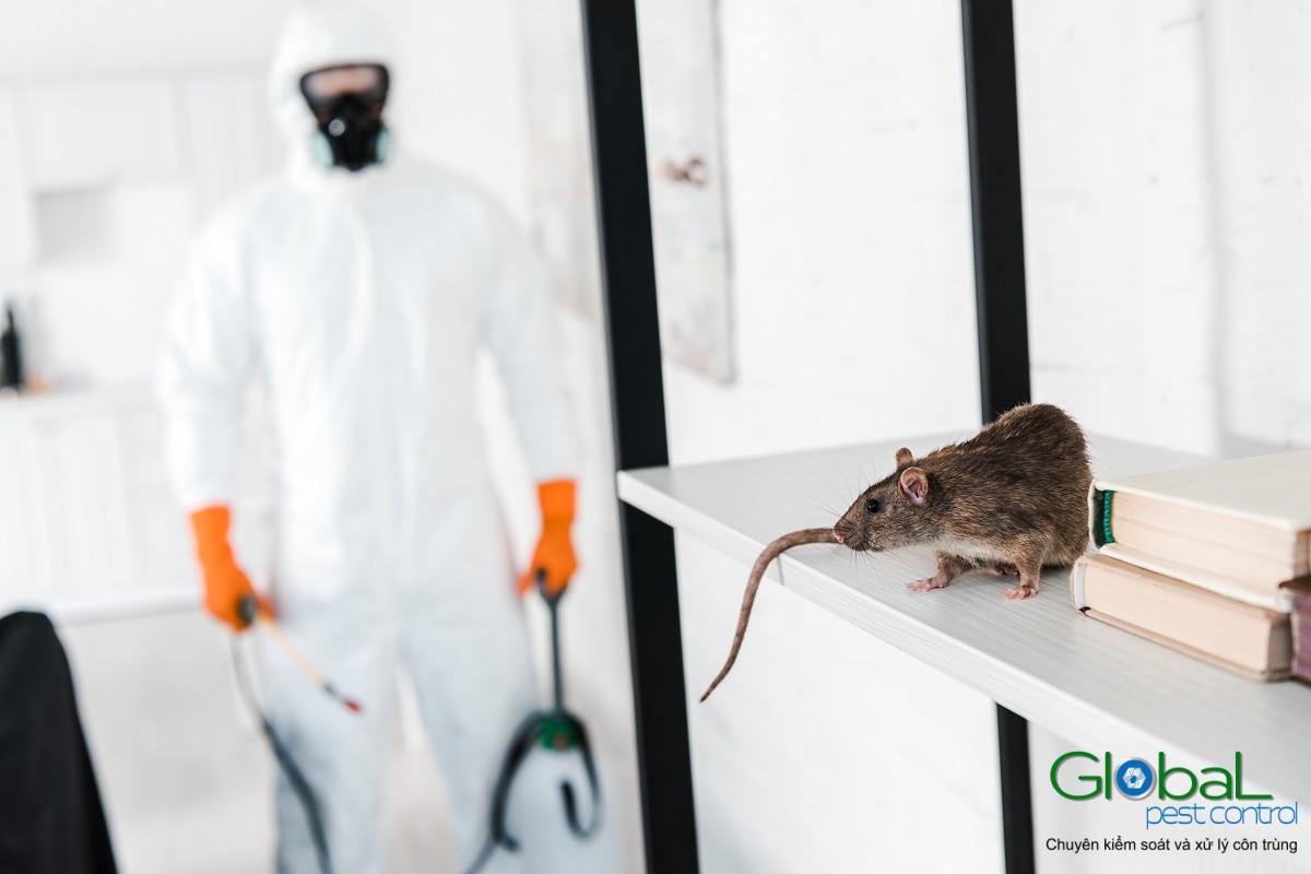 công ty diệt côn trùng vinapest (3)