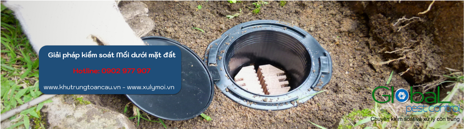 giai phap kiem soat moi