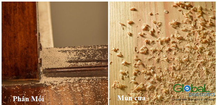 screenshot 1681831771