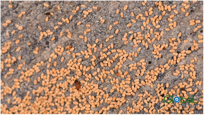 screenshot 1681832016