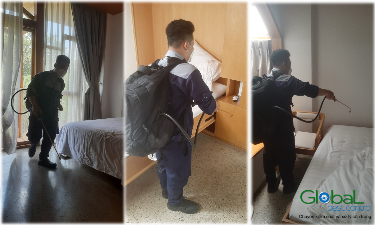 Dịch vụ diệt côn trùng 1